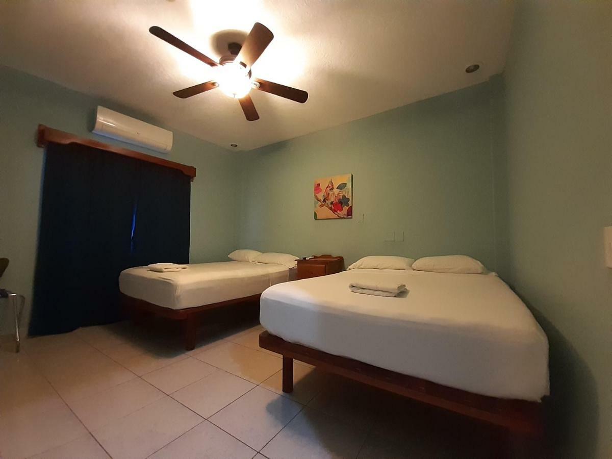 Maya Bella Downtown Hotel San Ignacio Eksteriør billede